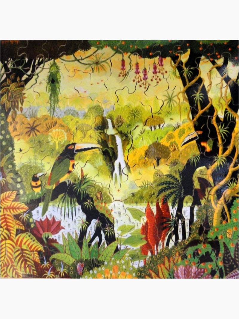 Toucans à la cascade N/A - Kiabi