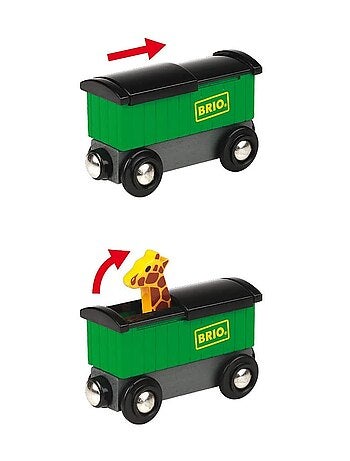 Train Safari