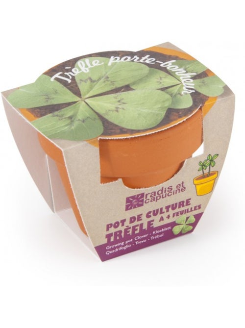 Trèfle à 4 feuilles en pot de culture - Kiabi