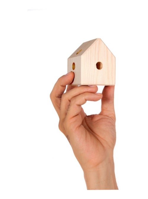 Trigonos Kernel Frukto - Kiabi