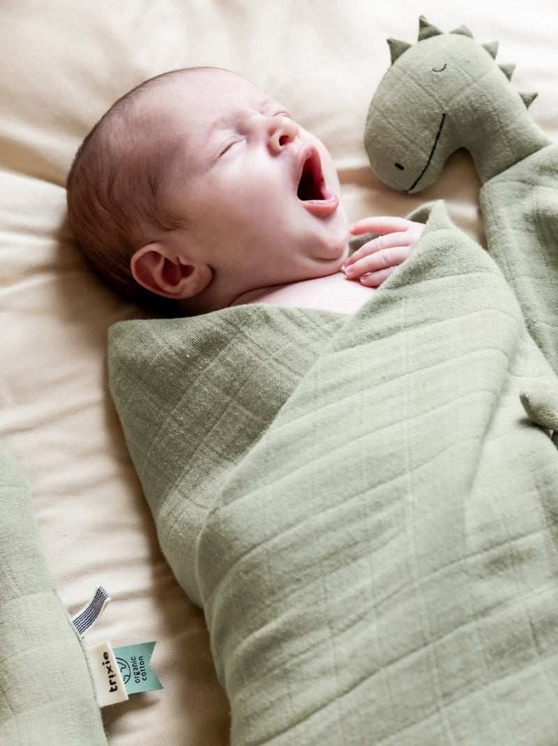 Trixie - Doudou plat Bliss Vert - Kiabi