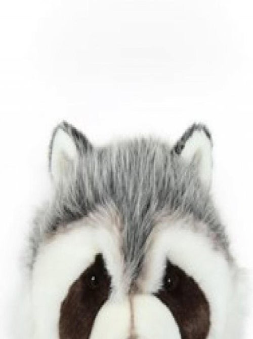 Trophée Peluche - Josh Raton Laveur - Kiabi