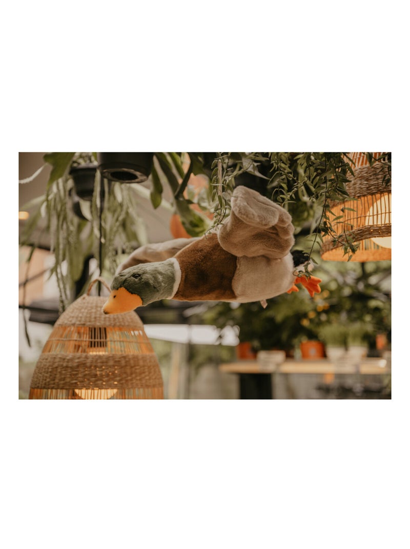 Trophée Peluche canard volant Alain Blanc - Kiabi