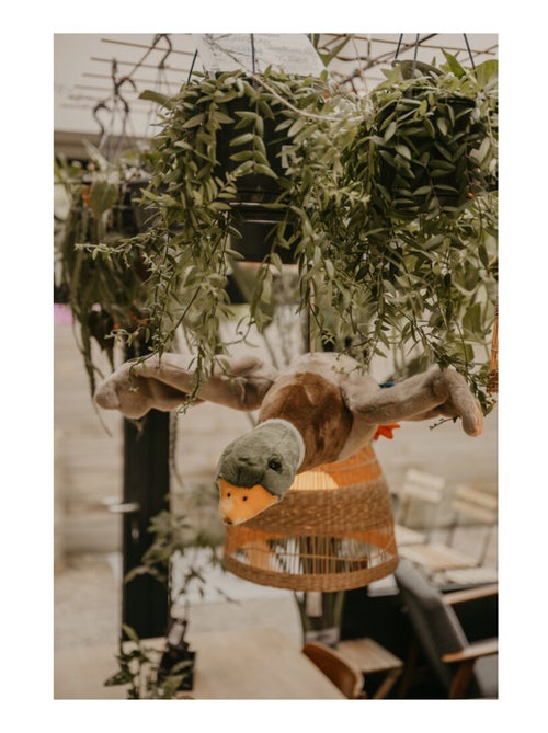 Trophée Peluche canard volant Alain - Kiabi