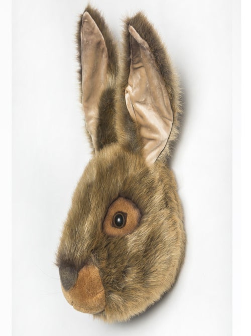 Trophée Peluche Lewis Le Lièvre - Kiabi