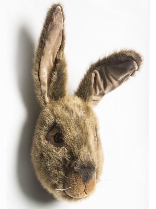 Trophée Peluche Lewis Le Lièvre - Kiabi