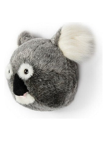 Trophée Peluche Noah Le Koala