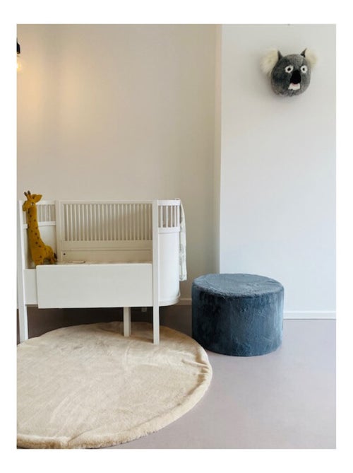 Trophée Peluche Noah Le Koala - Kiabi