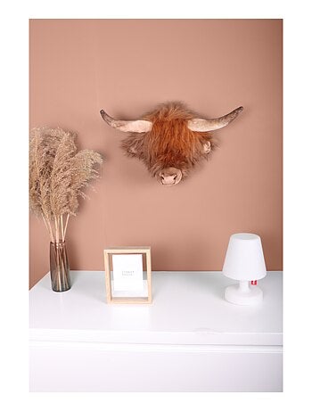 Trophée peluche vache des highlands ecossaise nicolas