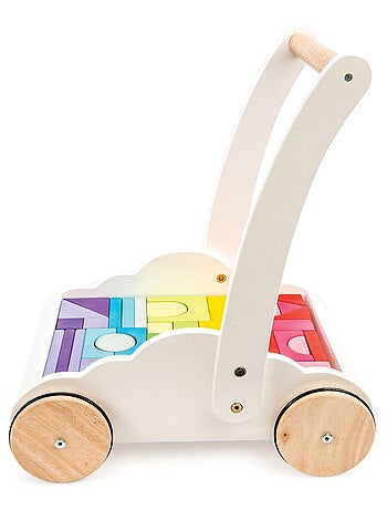 Trotteur Nuage & Arc-En-Ciel - 45 Blocs