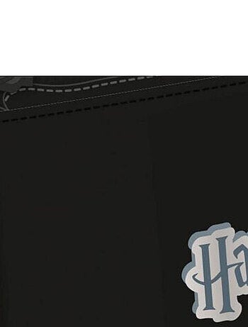 Trousse multi poches - HARRY POTTER - 21x11 cm