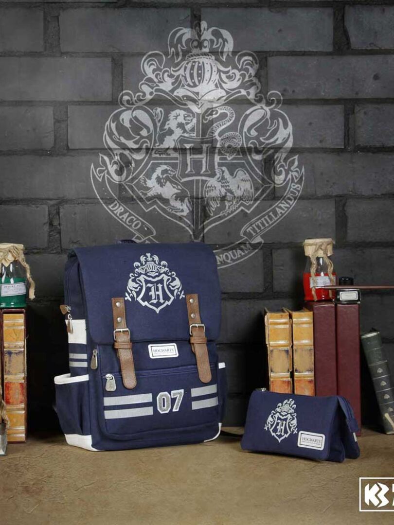 Trousse Harry Potter Beasty Friends – Double Compartiment, Fermeture éclair, 10x22,5x7 Cm – Bleu, Pour L'école Ou Les Fournitures