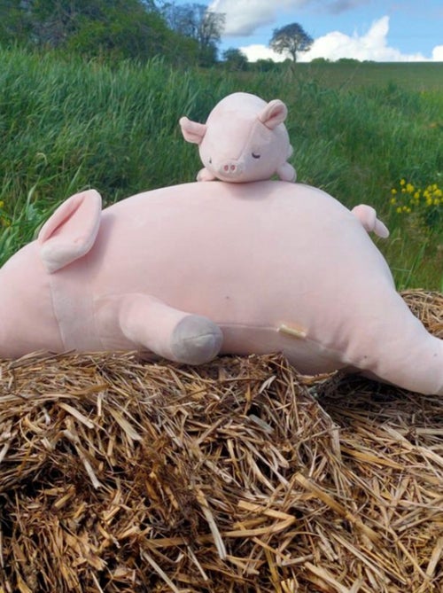 Trousselier - Peluche Pinkie le Cochon - Kiabi