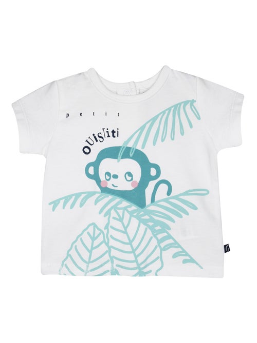 TSHIRT BERMUDA OLIVIER MANCHES COURTES SUCRE D'ORGE - Kiabi