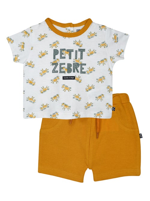 TSHIRT SHORT NAZERI MAILLE SUCRE D'ORGE - Kiabi