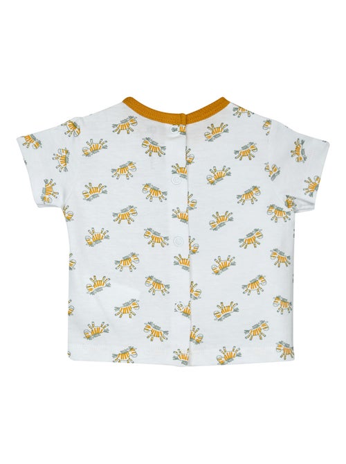 TSHIRT SHORT NAZERI MAILLE SUCRE D'ORGE - Kiabi