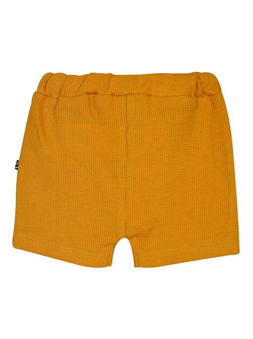 TSHIRT SHORT NAZERI MAILLE SUCRE D'ORGE - Kiabi