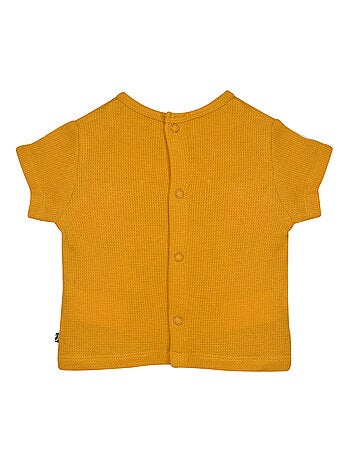 TSHIRT SHORT NOCENZIO MAILLE SUCRE D'ORGE