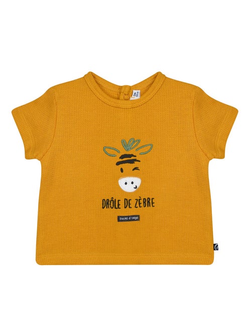 TSHIRT SHORT NOCENZIO MAILLE SUCRE D'ORGE - Kiabi
