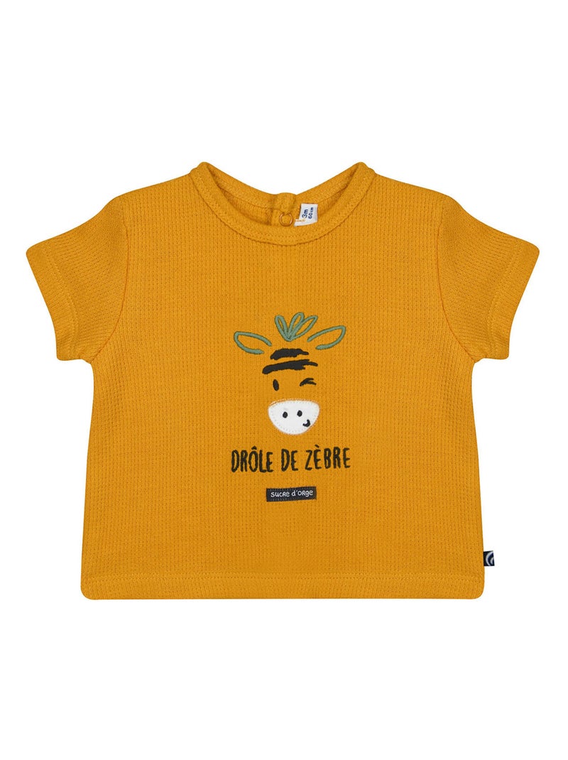 TSHIRT SHORT NOCENZIO MAILLE SUCRE D'ORGE Jaune - Kiabi
