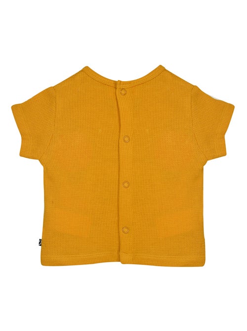 TSHIRT SHORT NOCENZIO MAILLE SUCRE D'ORGE - Kiabi