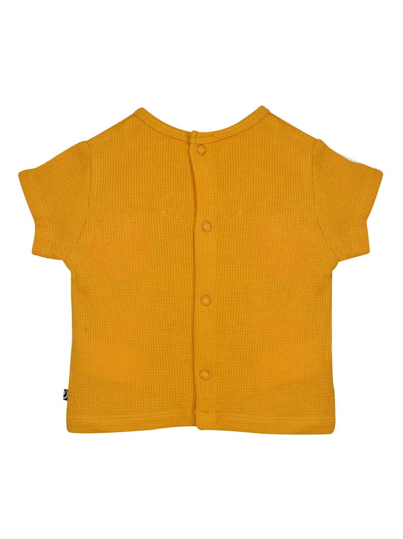 TSHIRT SHORT NOCENZIO MAILLE SUCRE D'ORGE Jaune - Kiabi