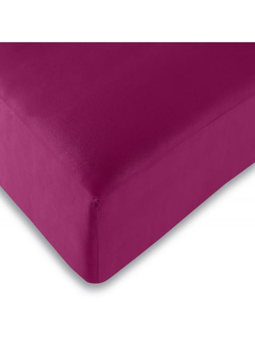 Univers Decor - Drap Housse Fushia 160 X 200 Cm / 100% Coton / 57 Fils/cm² - Kiabi