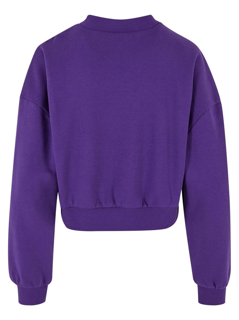 Urban Classics - Sweat motif/style Court Violet - Kiabi