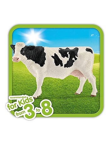 Vache Holstein