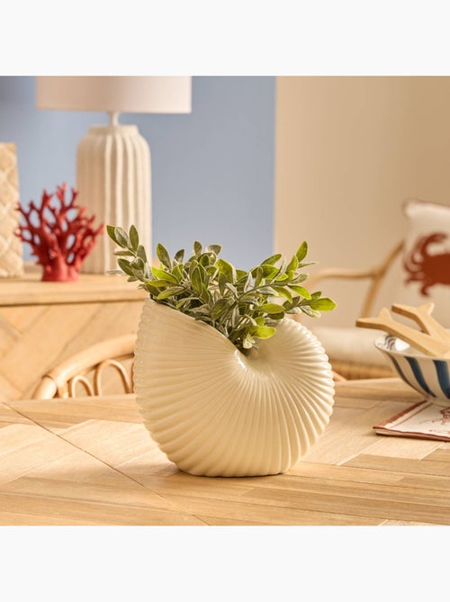 Vase coquillage nautile en dolomite OCEA - Kiabi