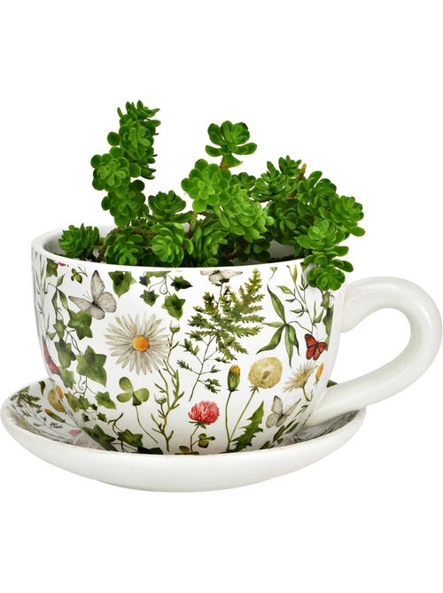 Vase ou cache pot en forme de tasse fleur grasse - Kiabi