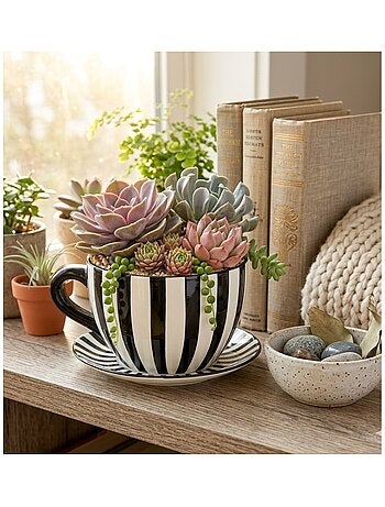 Vase ou pot de fleurs en forme de tasse rayée