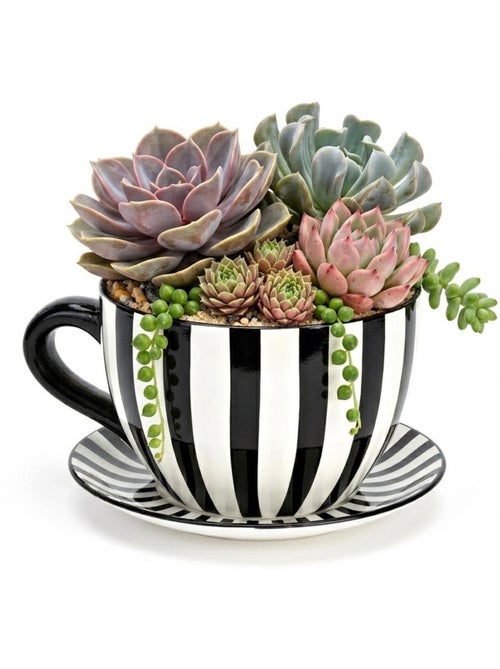 Vase ou pot de fleurs en forme de tasse rayée - Kiabi