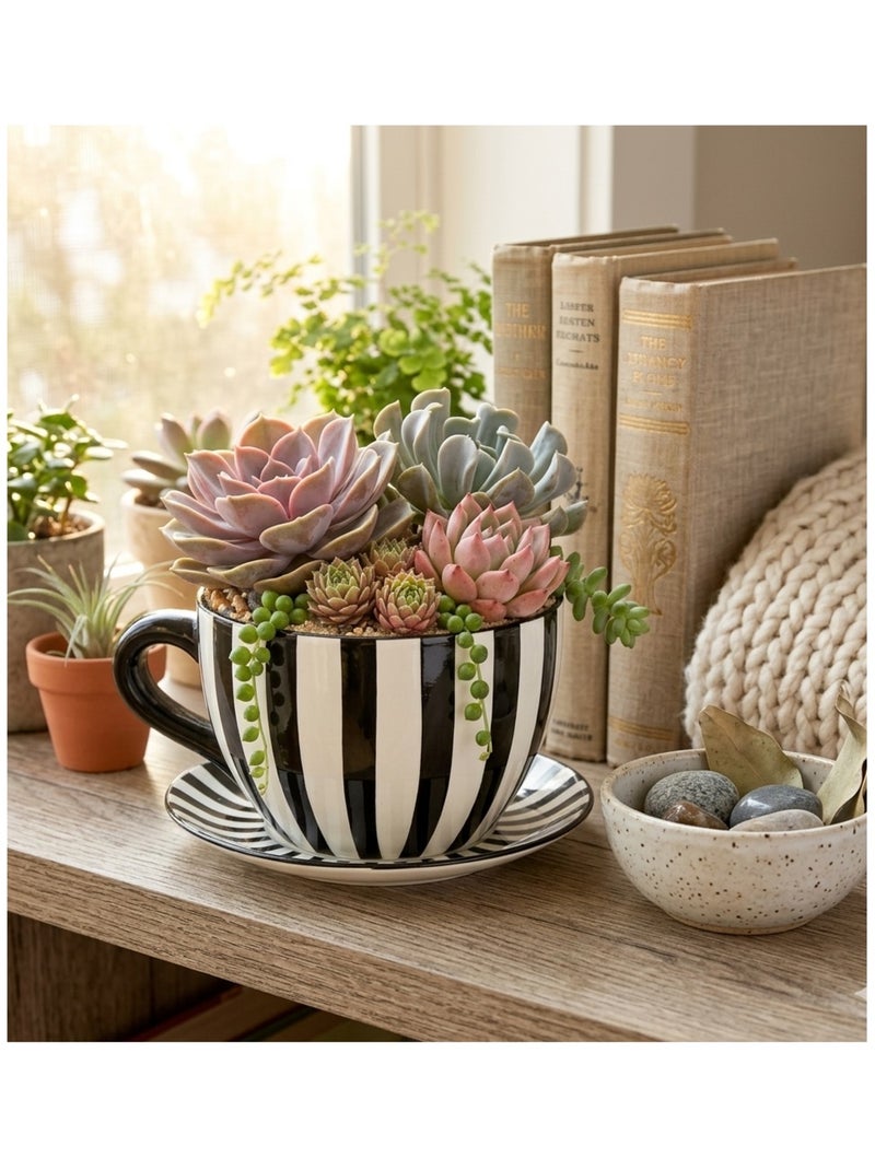 Vase ou pot de fleurs en forme de tasse rayée Noir - Kiabi