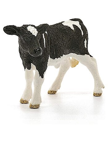 Veau Holstein