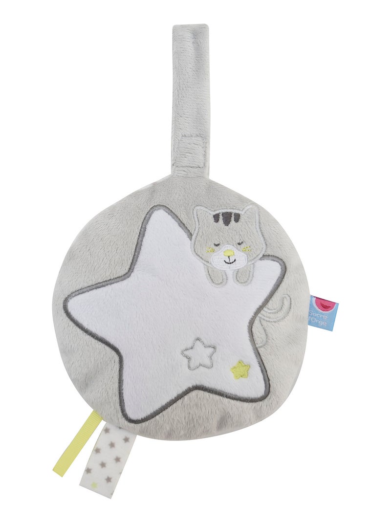 VEILLEUSE PHOSPHORESCENTE ETOILE CHAT Gris - Kiabi
