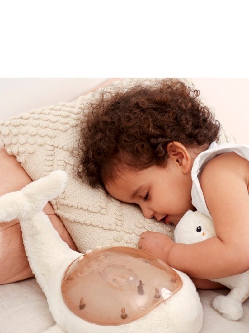 Veilleuse Tranquil Whale Family Blanc - Kiabi