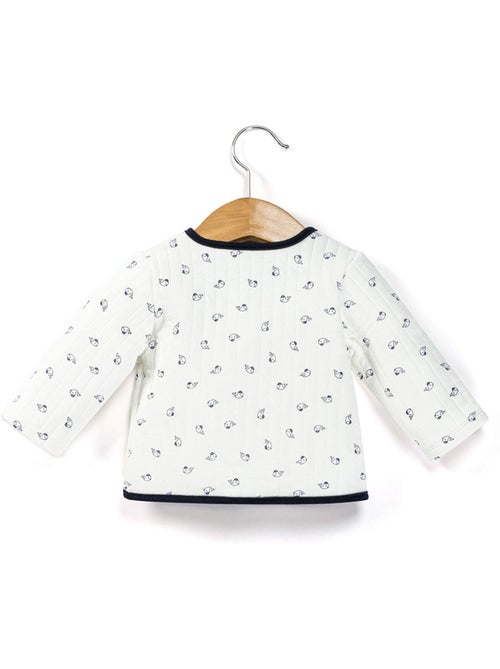 Veste - Terre de Marins - Kiabi