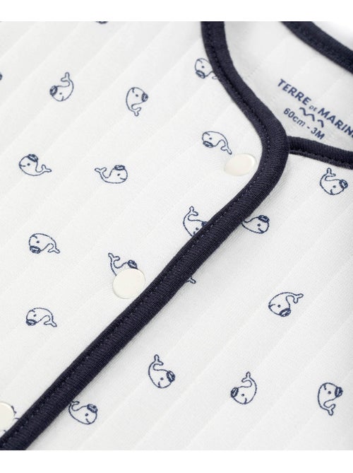 Veste - Terre de Marins - Kiabi