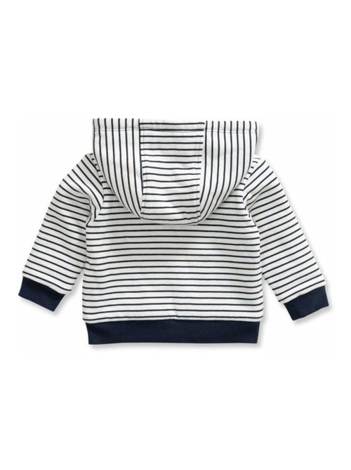 Veste à capuche - Terre de Marins - Kiabi