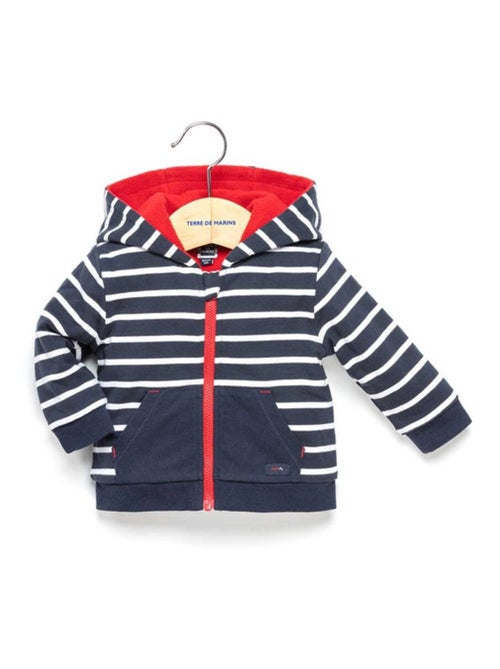 Veste à capuche - Terre de Marins - Kiabi