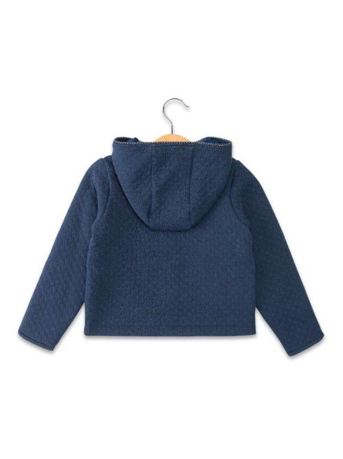 Veste à capuche - Terre de Marins - Kiabi