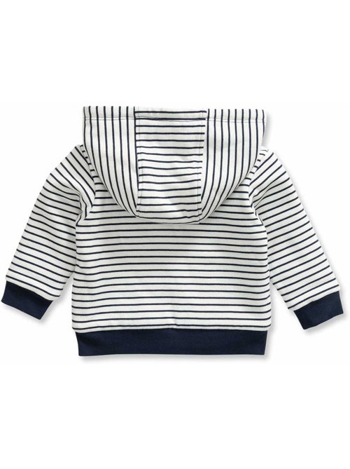 Veste à capuche - Terre de Marins - Kiabi