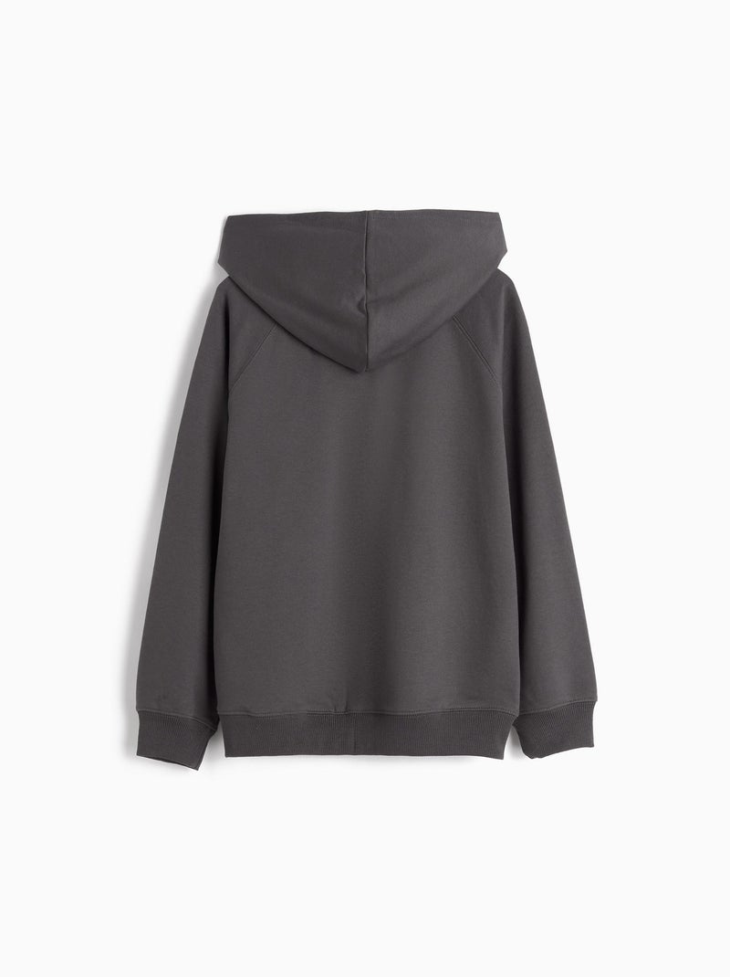 Veste à capuche Gris - Kiabi