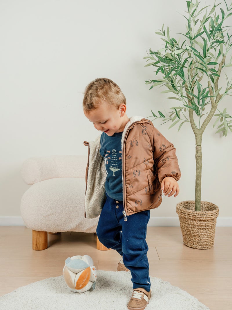 Veste déperlante en Groloudoux® et sherpa Noukie's Marron - Kiabi