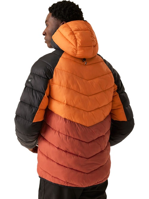 Veste isolante dalent - regatta - Kiabi Veste isolante dalent - regatta - Kiabi