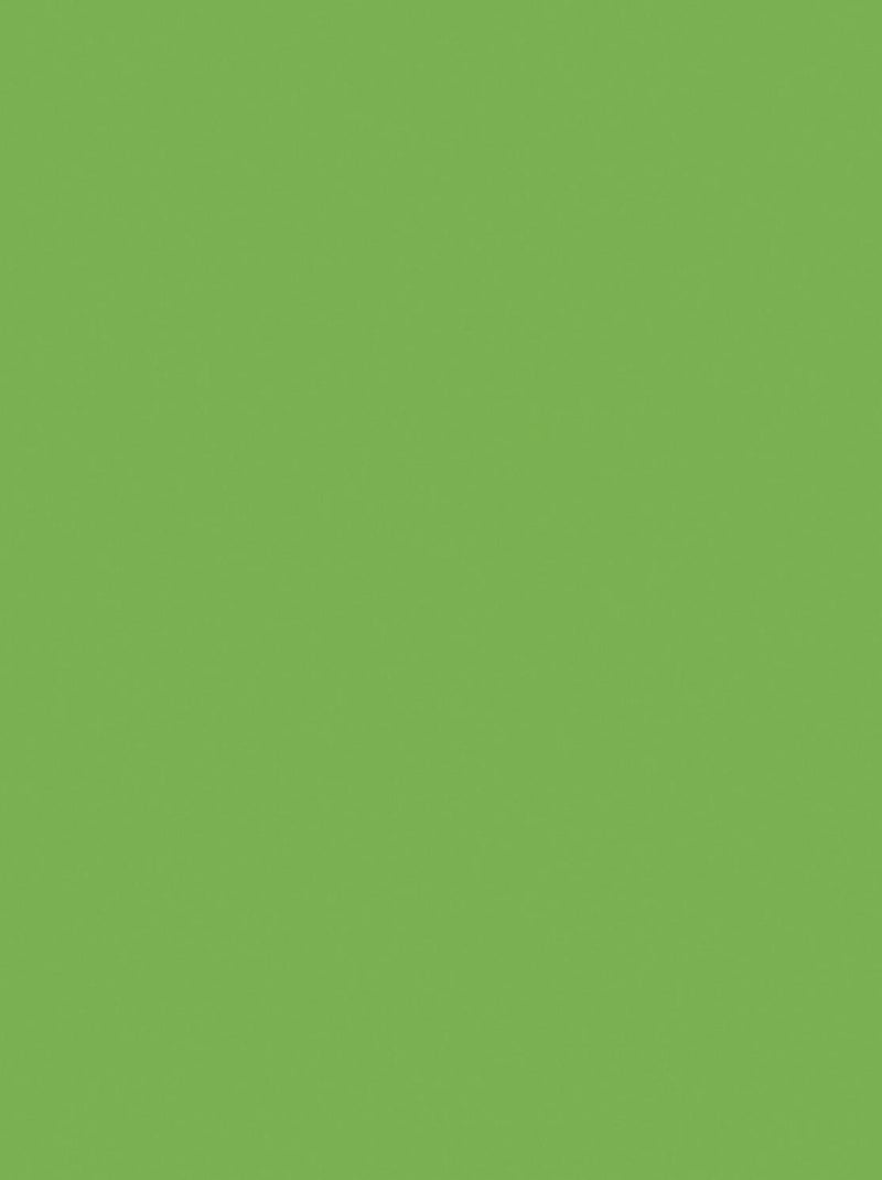 Vinyle Permanent brillant Couleurs vives 30,5 cm - - Cricut N/A - Kiabi