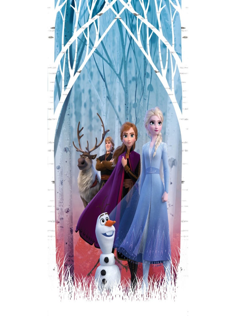Voilage - Disney La Reine des Neiges 2 - modèle dessin 140 cm x 245 cm Multicolore - Kiabi
