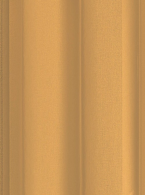 Voilage à anneaux noirs amovibles - Kiabi