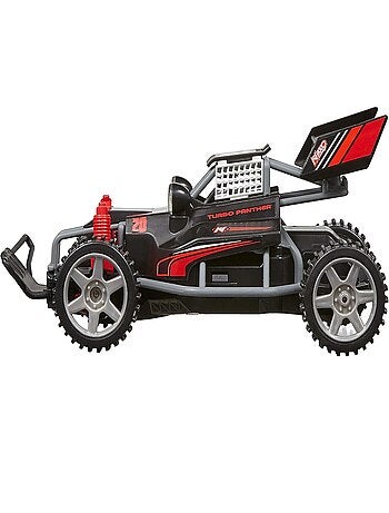 Voiture rc race buggies night panther